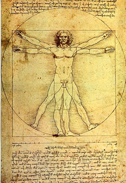 Leonardo - Vitruvian Man