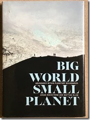 Big World Small Planet by Rockstrom and Klum - cover