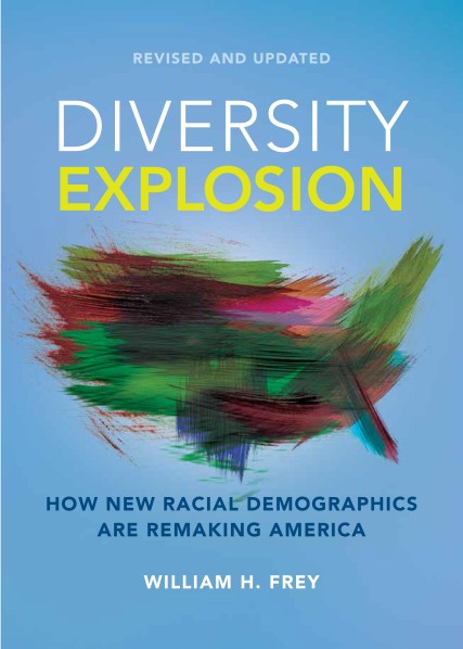Cover of Diversity Explosion