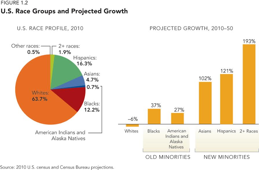 Graphs of US Race Groups and Projected Growth