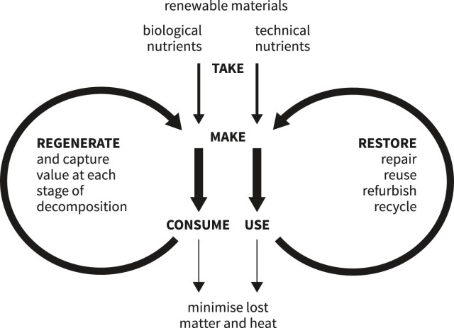 21C-butterfly-economy