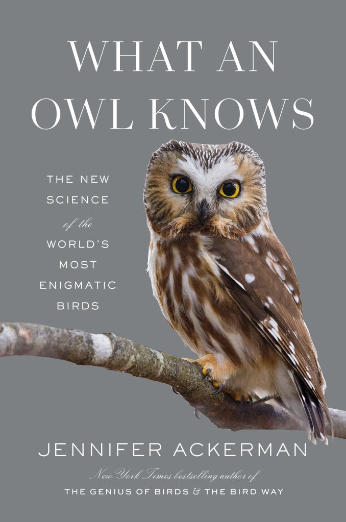Cover of What an Owl Knows showing a photo of a brown and white Morepork owl from Australia’s Norfolk Island perching on a tree branch.