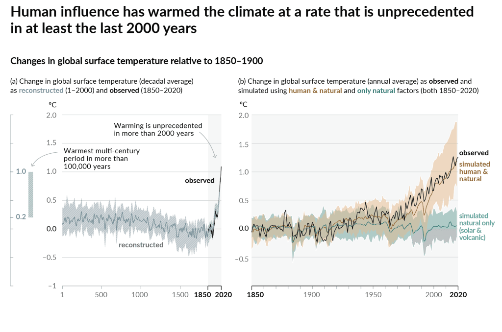 Image of the hockey stick graph from a 2001 IPCC report.