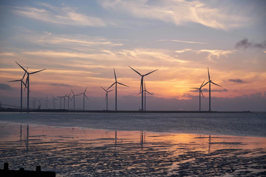 Photo showing wind turbines along a coastline at sunset.