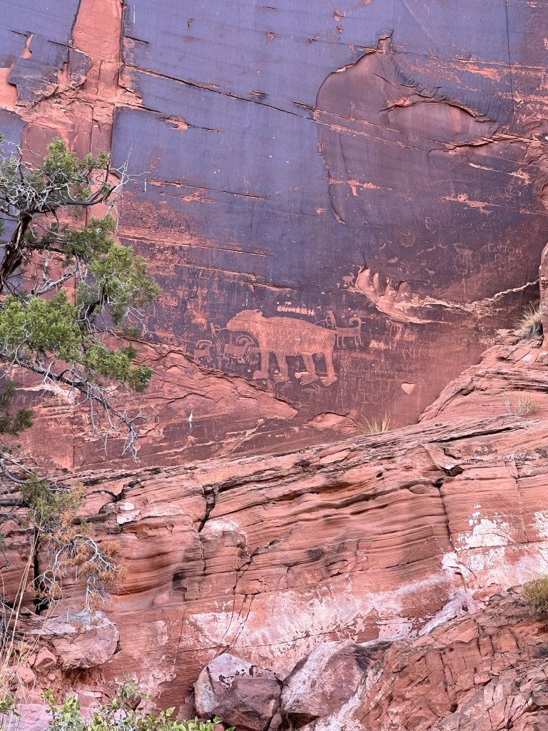 Petroglyphs on the red rock wall known as Wall Street. 