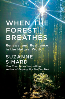 Cover of When the Forest Breathes showing the sun's rays shining between trees in a forest. 