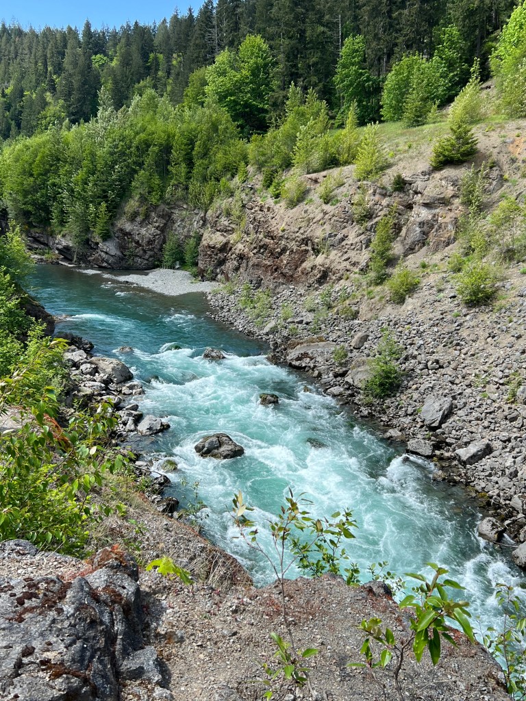 Photo of Elwha River rapids near the site of the former Lower Elwha Dam.